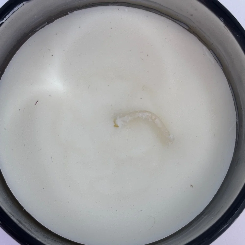 West Coast Candle Co Paradise Breeze Candle 9oz Pink Western Cowgirl Soy Wax New